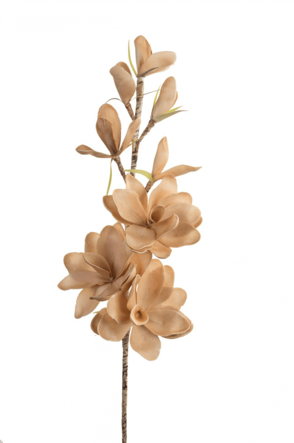 Κλαδί με Λουλούδια Μπέζ