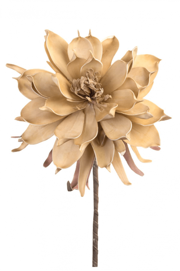 Λουλούδι Μπέζ