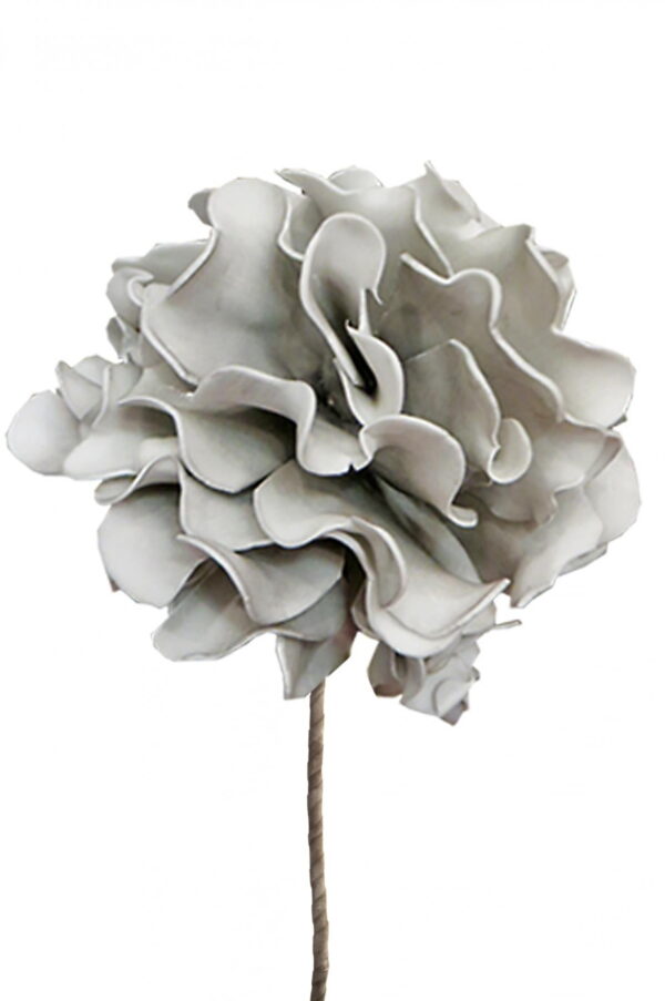 Λουλούδι Γκρι