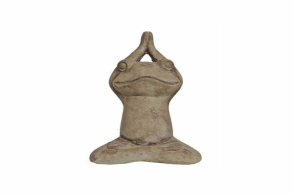 Διακοσμητικός βάτραχος 559001387