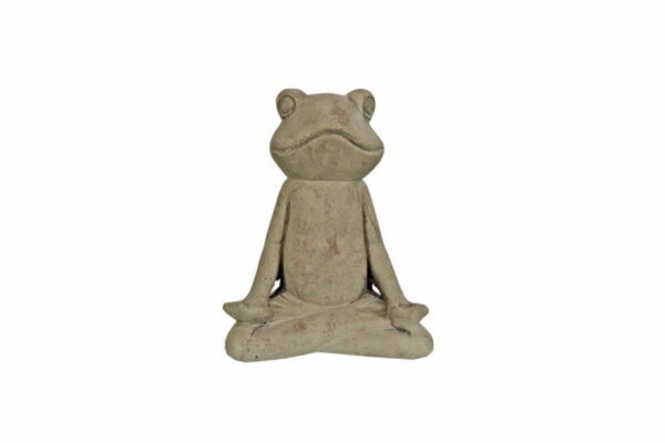 Διακοσμητικός βάτραχος 559001388