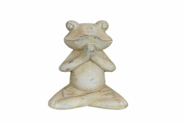 Διακοσμητικός βάτραχος 559001389