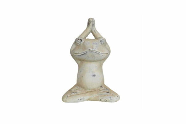 Διακοσμητικός βάτραχος 559001390