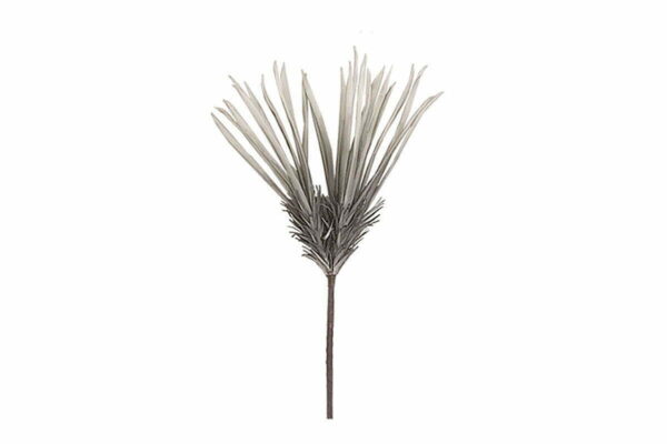 Λουλούδι γκρι