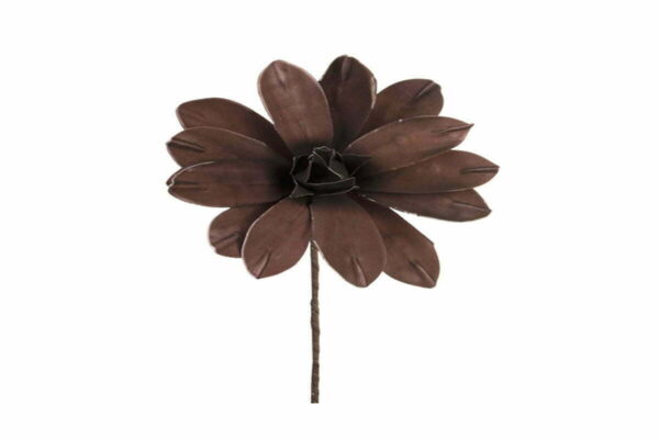 Λουλούδι καφέ