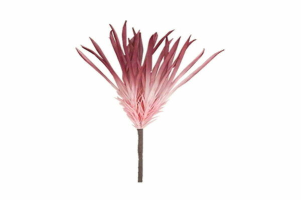 Λουλούδι ροζ-μωβ