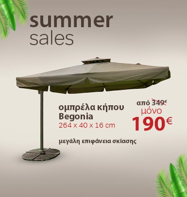2Summer sales Begonia