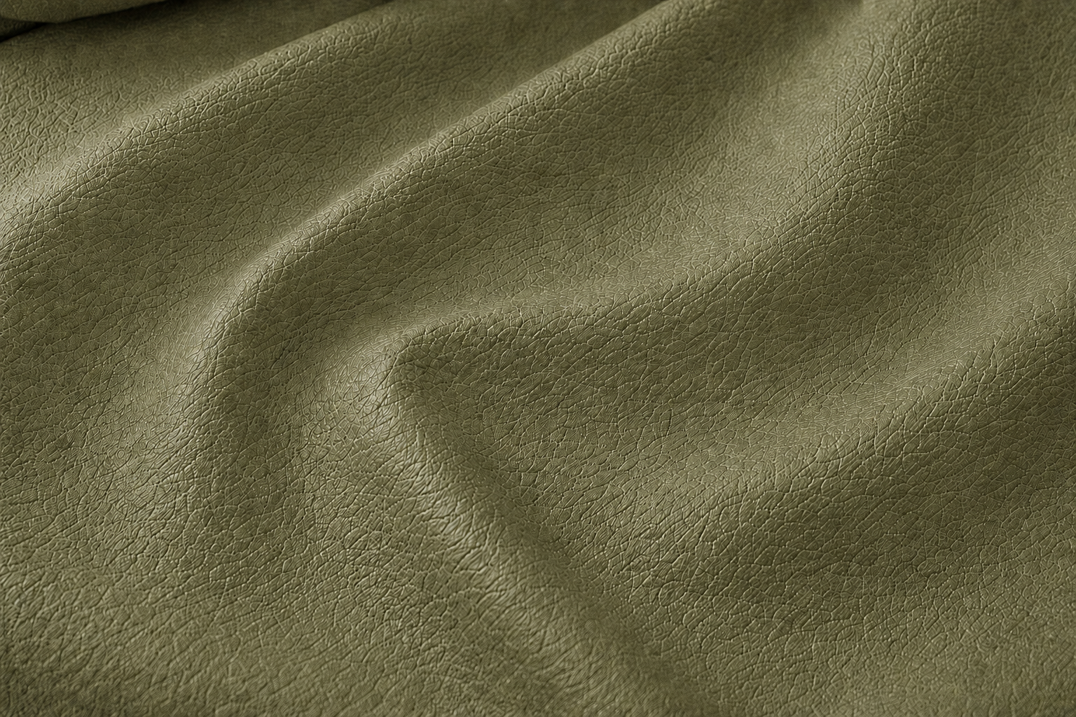 Cambra 03 Olive
