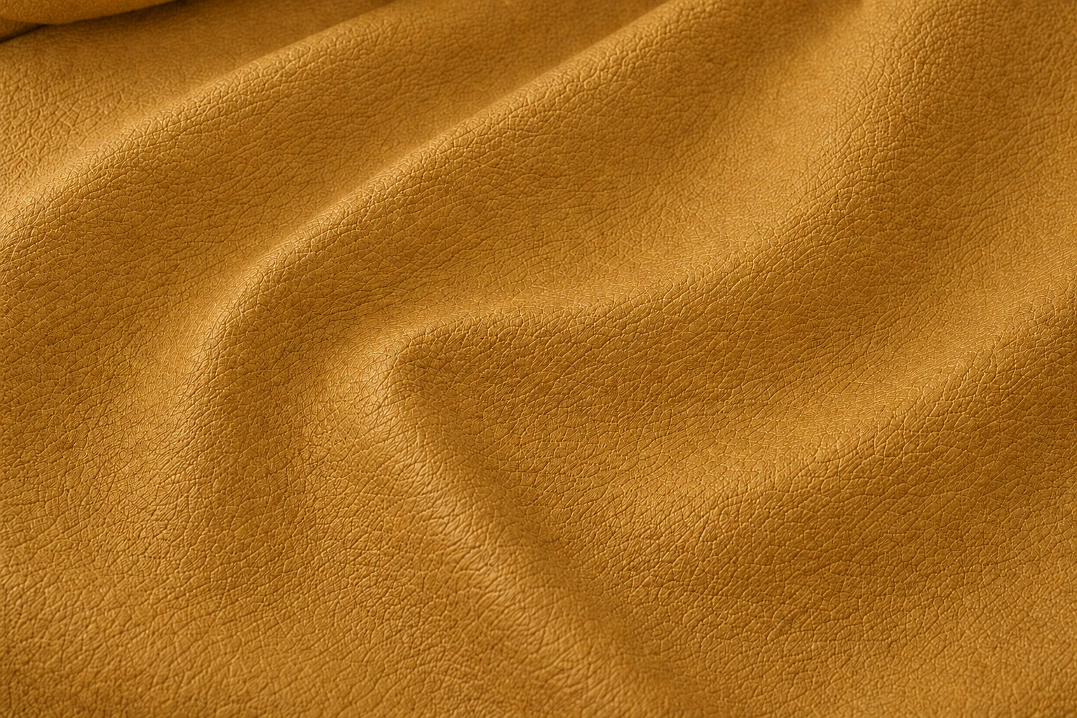 Cambra 43 Mango